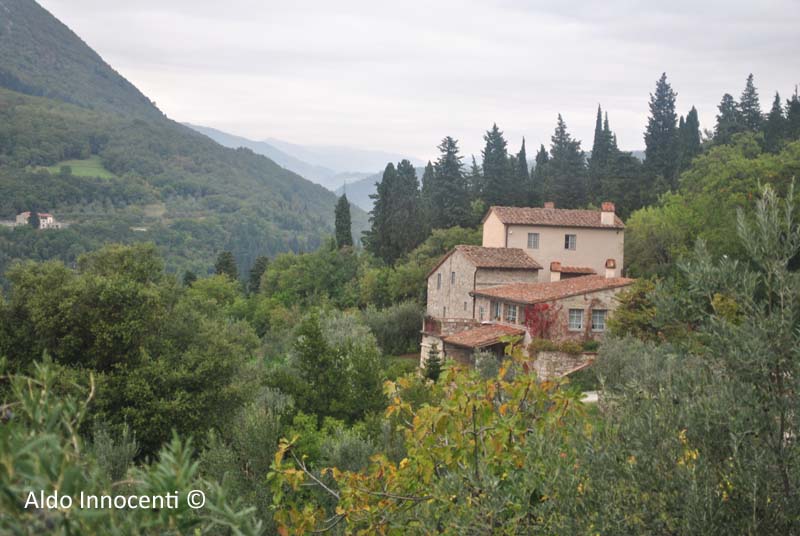 CASA VALLUPAIA